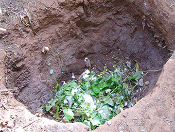 Pit Composting